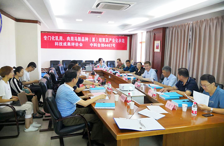 乳用马、肉用马新品系培育关键技术研究及产业化示范 anli.jpg